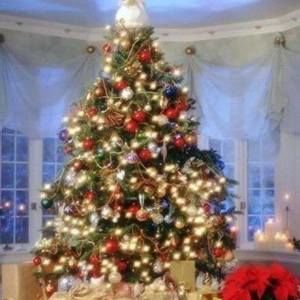 Meet your Posher, Sandi